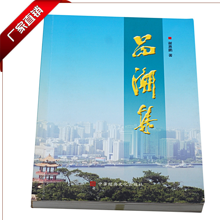 厂家直销 线胶钉画册印刷定做 画册印刷 说明书宣传册手册折页