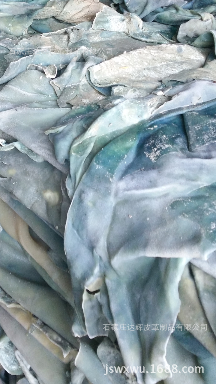 植树节截屏_20160312_192356