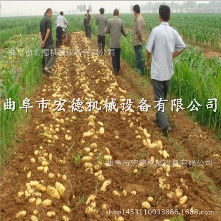 QQ圖片20160214115817