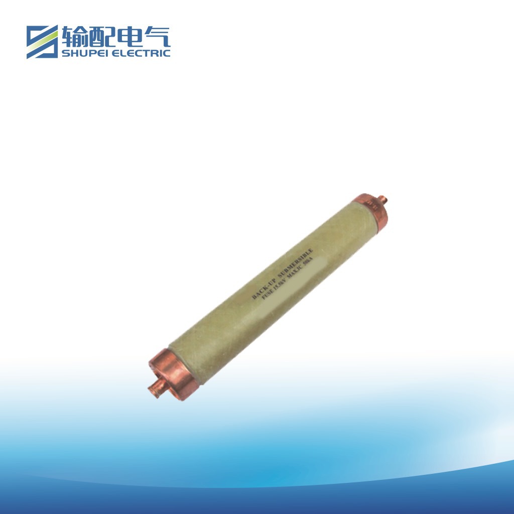 35KV保护用高压限流快速熔断器XRNT-35／50  