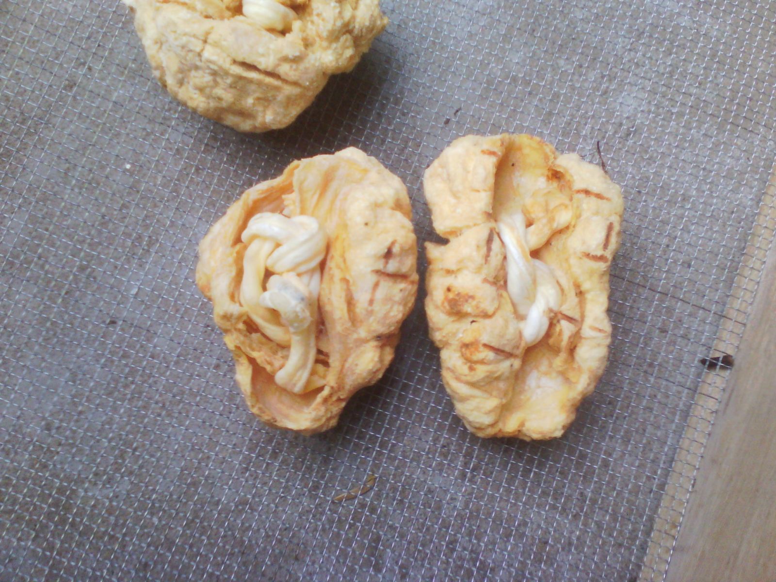 批发中药材胎盘 冷备中药材 清水胎盘 品质保证