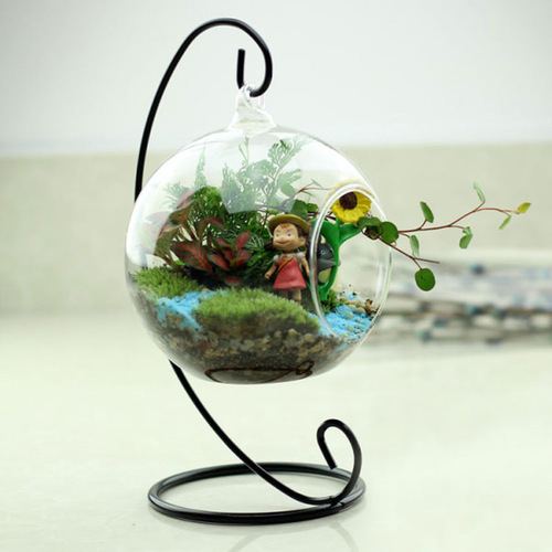 Micro-ecological bottle with glass balls, moss, iron stand, transparent hanging glass ball vase, succulent round balls, dangling balls