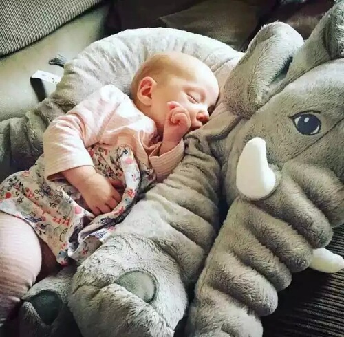Creative Ins Elephant Plush Toy Pillow Sleep Companion Soothing Toy Cross-border Baby Soothing Doll Birthday Gift