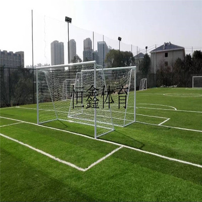 定制大型足球门户外体育运动比赛移动式标准足球场训练球门配球网|ru