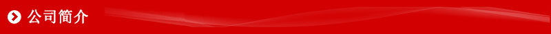 公司简介 1