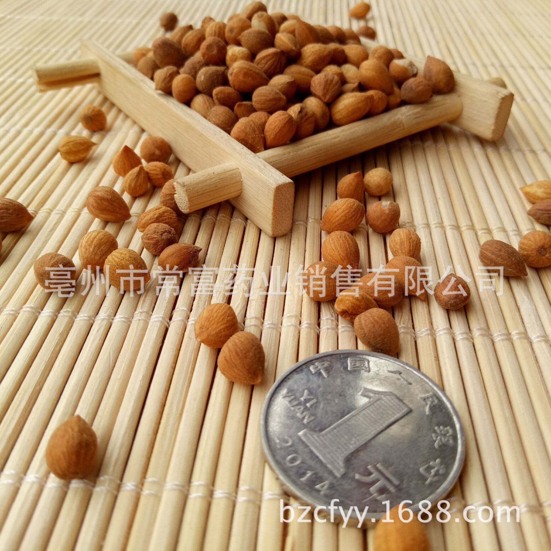 Chinese Bush Cherry Seed Yu Li Ren Prunus humilis Dried Herbal Seeds 500g for Culinary and Decoction Use quality and texture