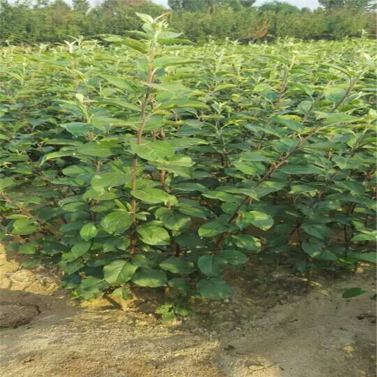 QQ图片20160908210723