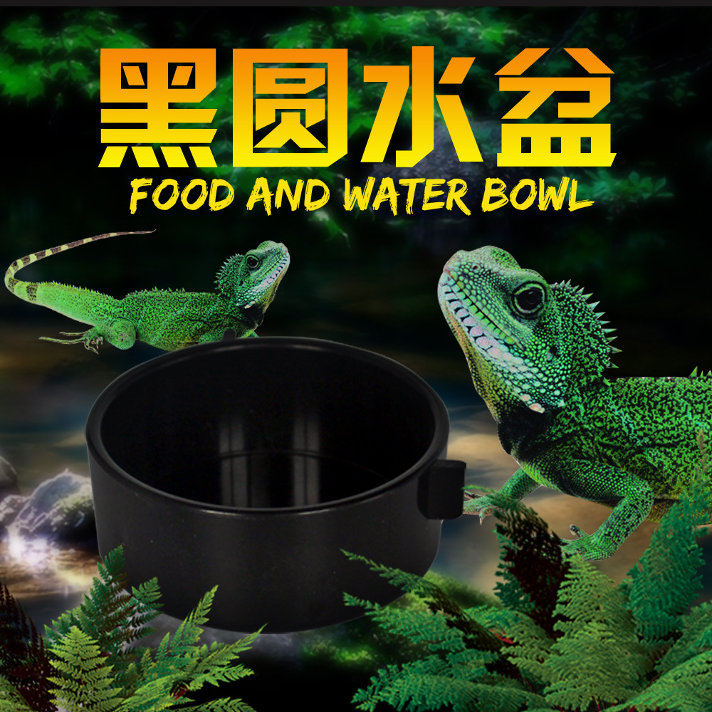 NOMO Norum H0 climbing snake python spider lizard lizard scorpion…