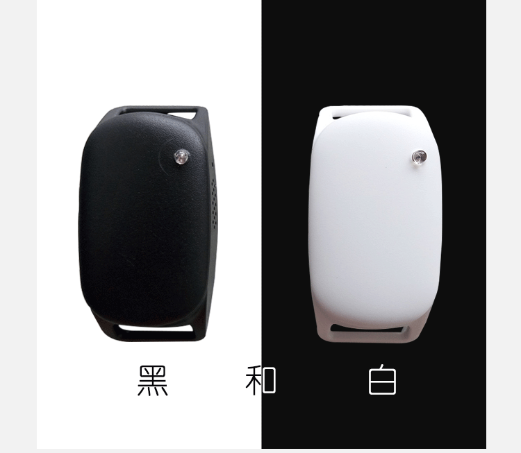 2957955275_1048139226