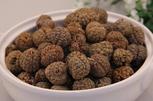 �����L���]���ݶ�ޢ/��ޢ �ݶ��� �ݿ� ���l�����S����ԭ����