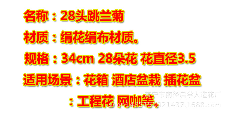 未标题-1跳兰菊