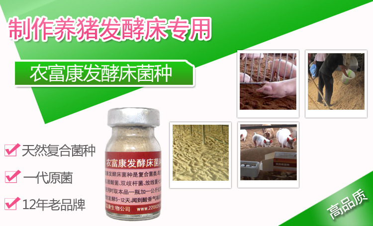 发酵床养猪