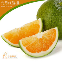 湖北秭归脐橙_湖北秭归脐橙价格_优质湖北秭