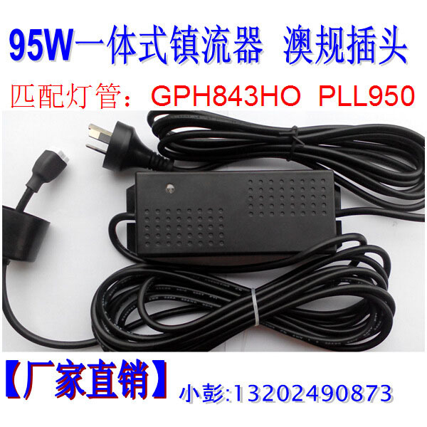 2733782969_166028950