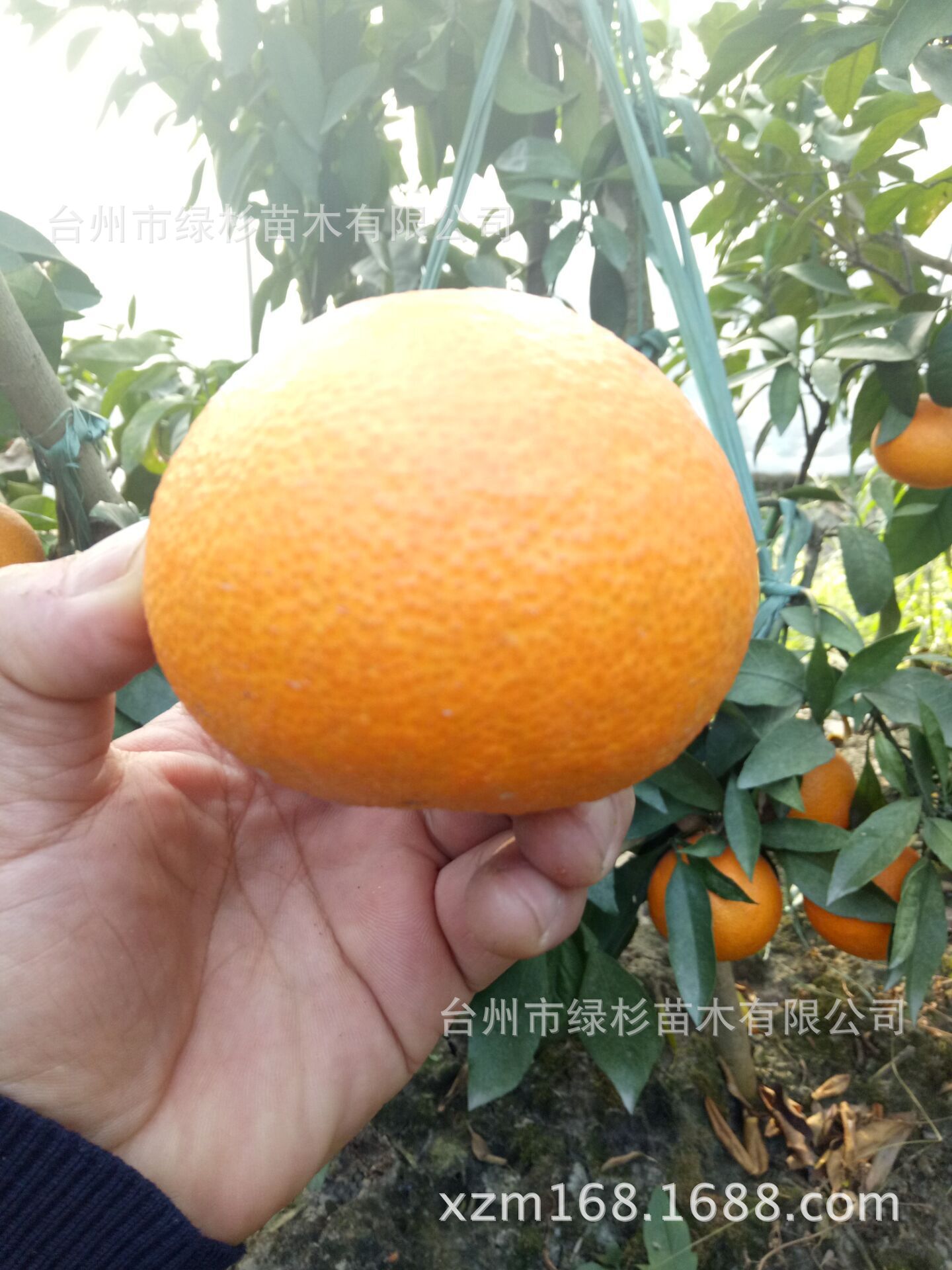 QQ图片202
