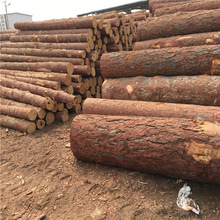 ���~�� �S���� ��ľԭľ���� �Ž����ݙM�� �_�l������]