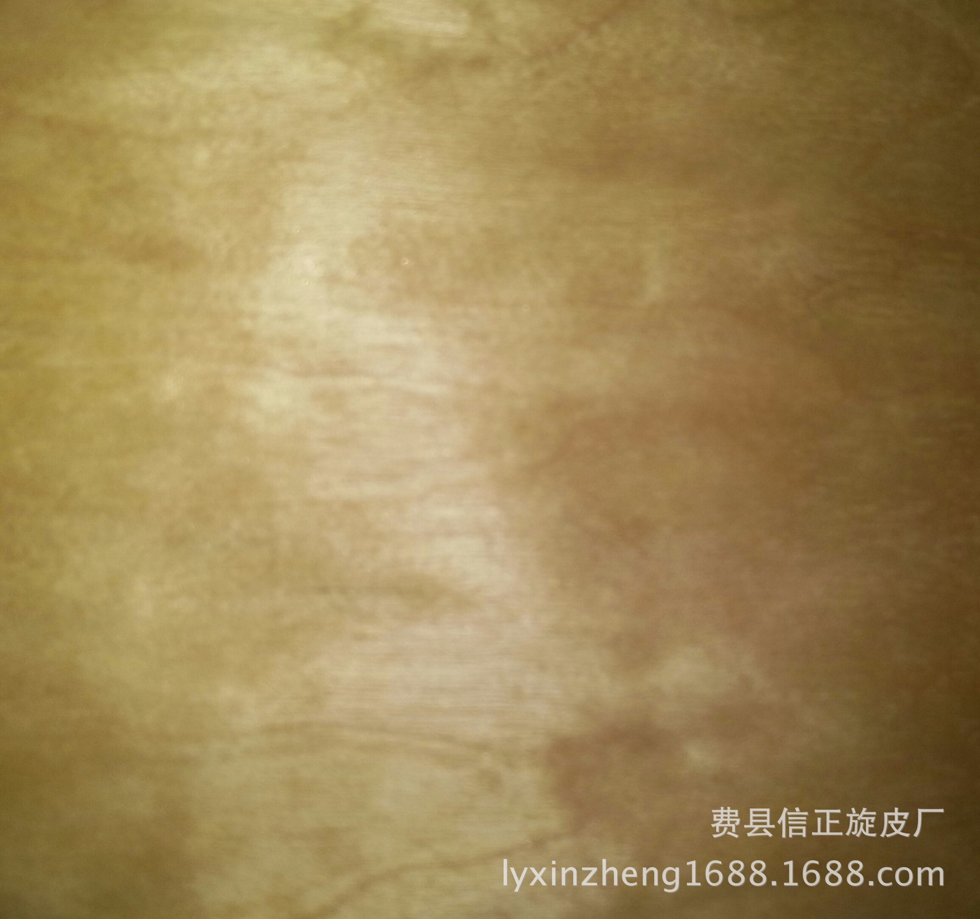 IMG_20160401_150751-1