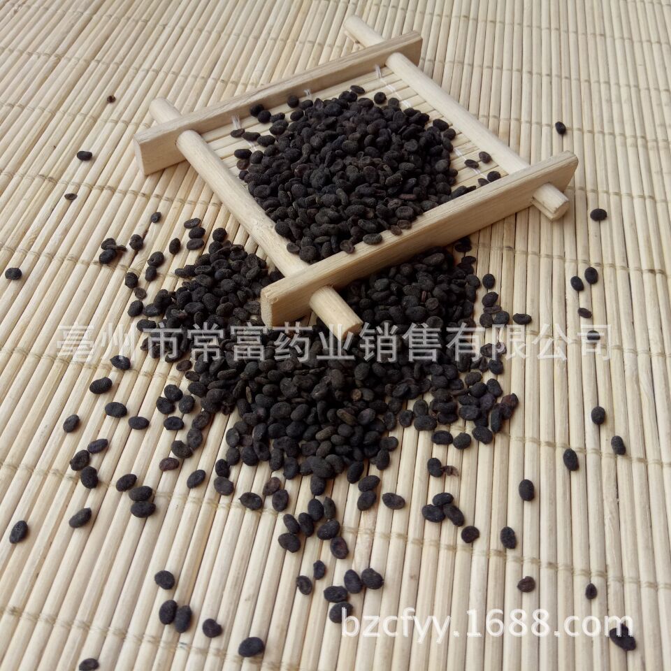 Psoralea Fruit Bu Gu Zhi Dried Whole Seeds 500g Traditional Chinese Herb from Yunnan overview
