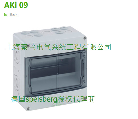 现货批发spelsberg  9位  AK i 09微型断路器箱    200*200*122mm
