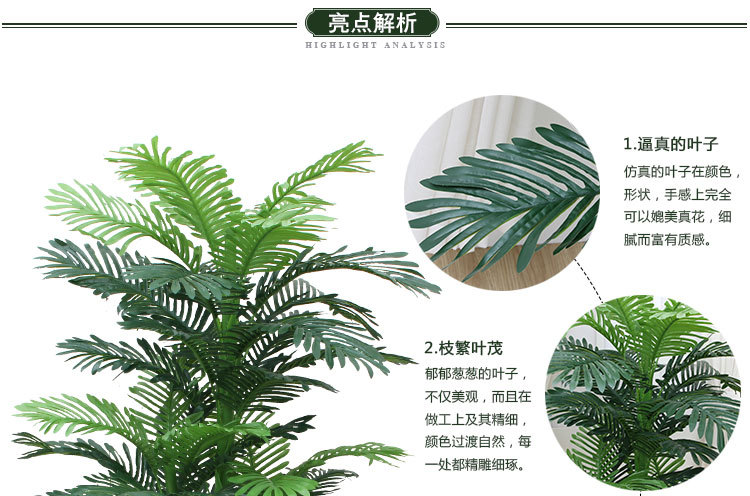 Xiaoshu Head Three -Head Sunflower Tree_03