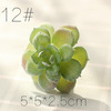 Simulation succulent plant wholesale small succulent prefecture fake green plant wall room interior and exterior decorative combinations of velvet implanted flesh