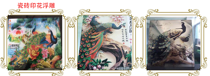 2425251029_1002460199