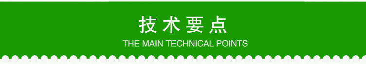 微喷头_13