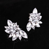 Earrings, accessory, European style, Aliexpress, ebay, flowered