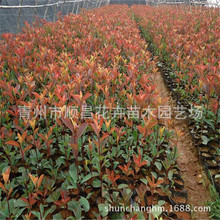 �t�~ʯ骘�����S��Ůؑ�����ļ�����t����ͥԺ�G�����t�^ľ