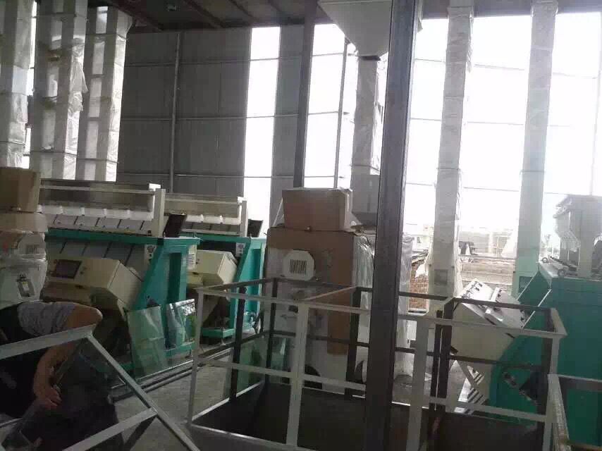 玉米色選機新16