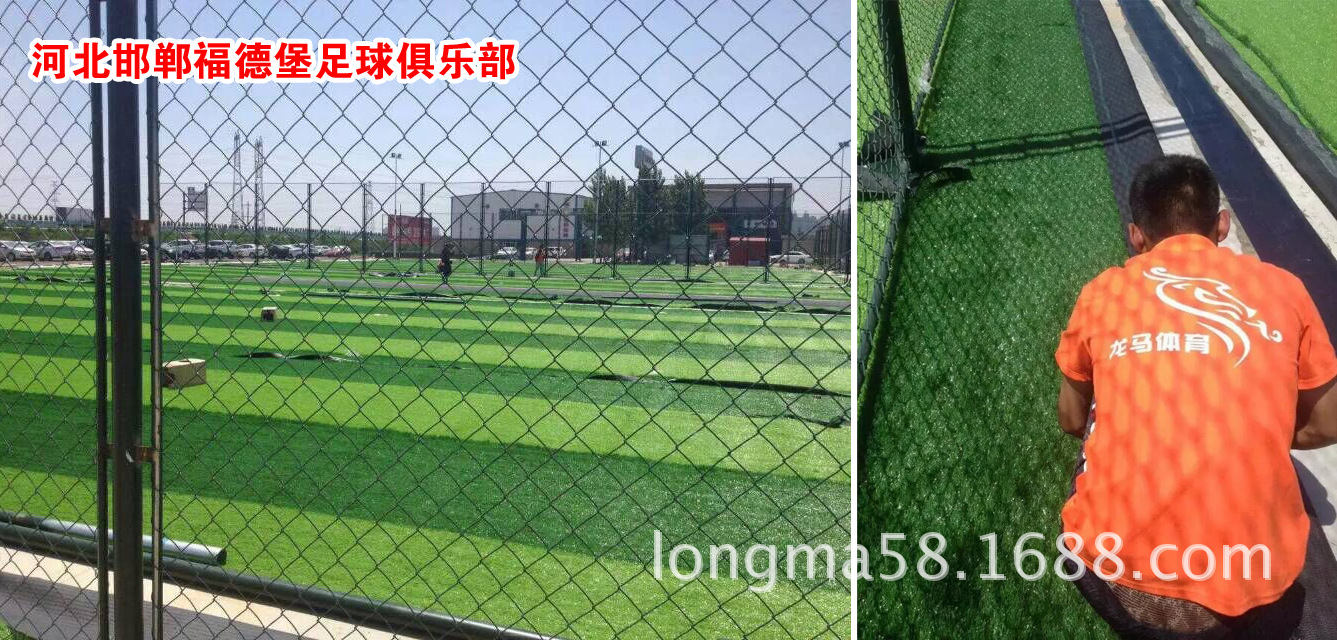 2227003656_61844974副本