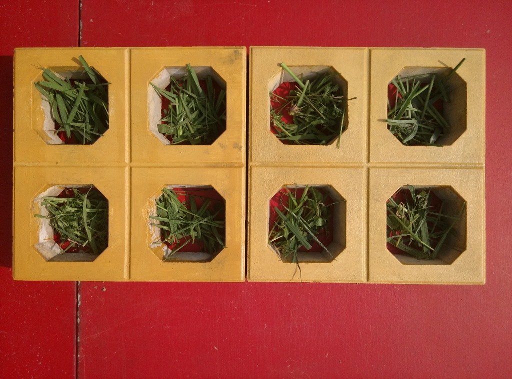 现货供应四孔草坪砖塑料模具有资料型号