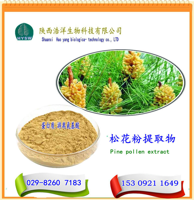 松花粉提取物 圖片