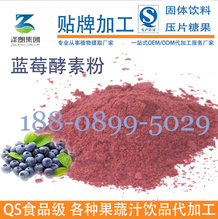 蓝莓酵素粉