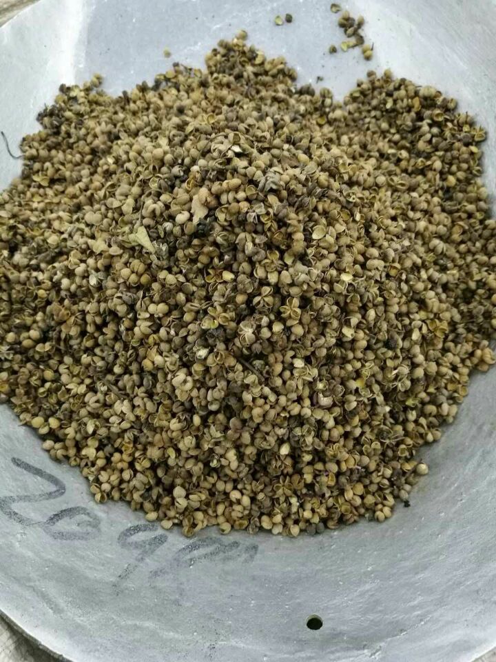 1313CE3293D517602F6C0790208391