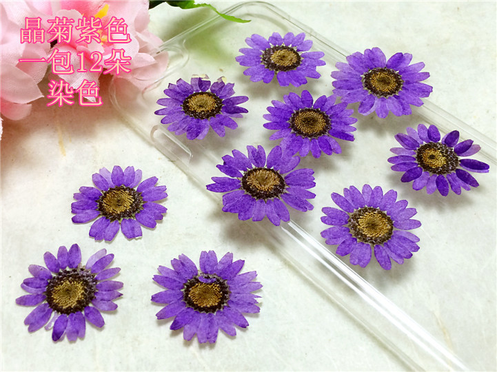 晶菊紫色
