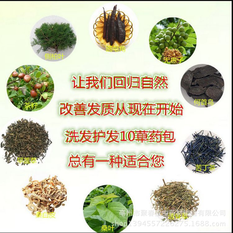 供应中药材侧柏叶桑叶苦丁茶洗头药袋头油