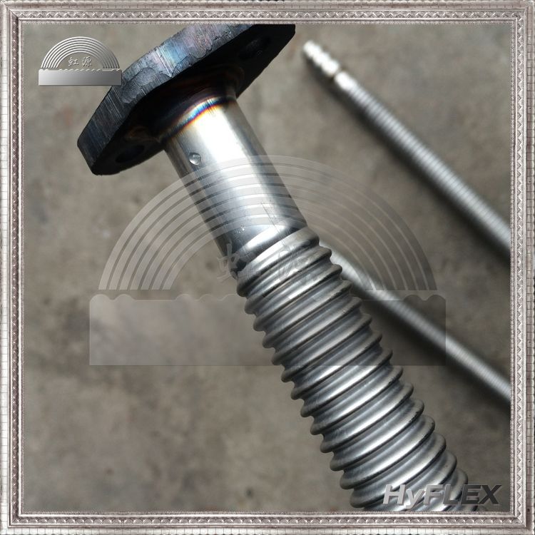 ��ѹ�����͹� ���η������� �������ƹ� ����ʡ������