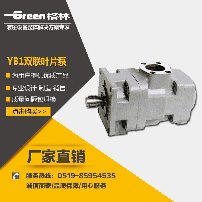 质保二年 YB1-100/80双联叶片泵 液压油泵 高性能液压系统配件