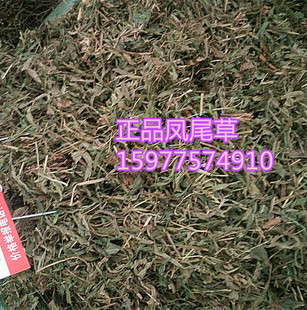 С~Pβ uצ uβ uβ P˲