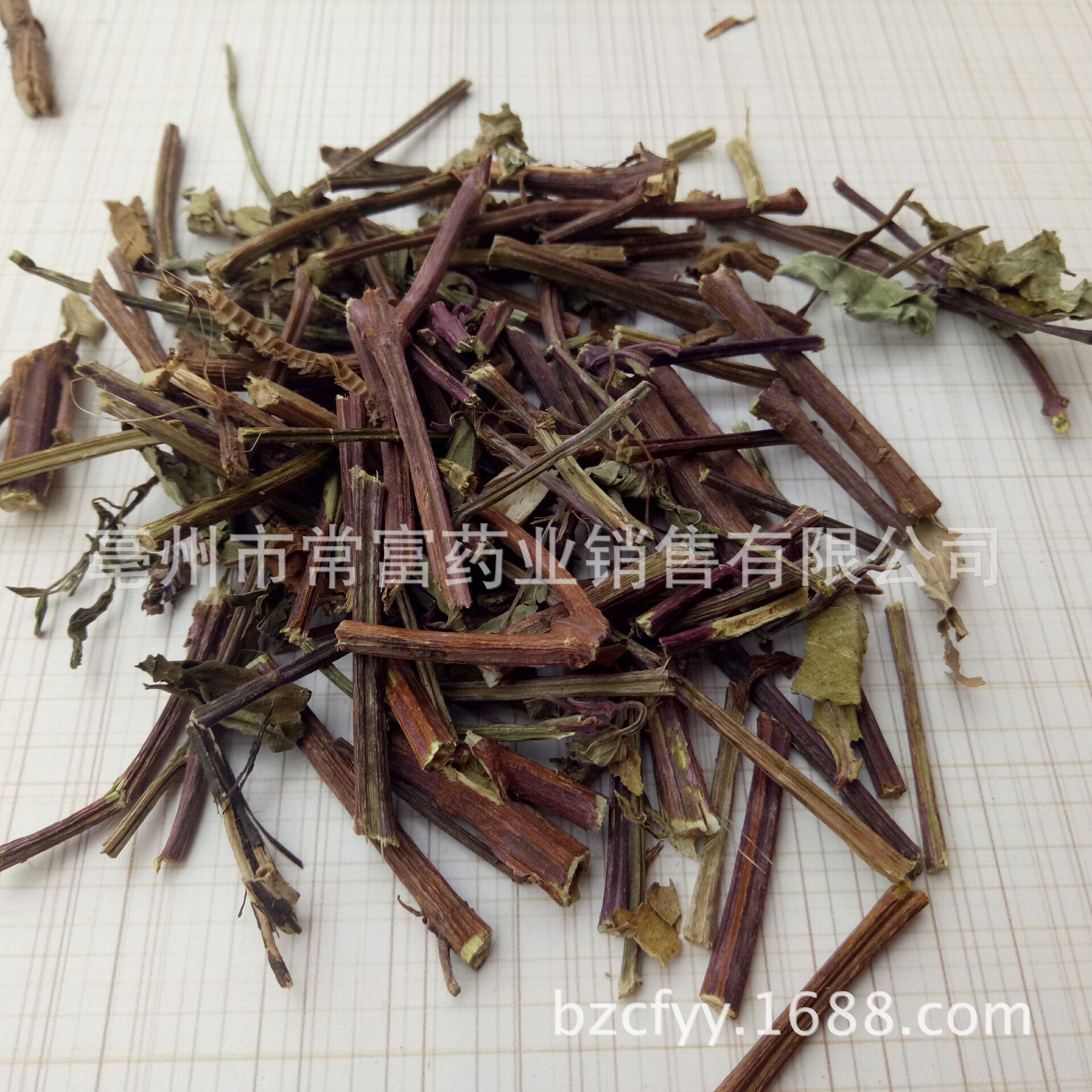 Mao Xu Cao Cat Whisker Herb Dried Orthosiphon Leaves 500g Traditional Herbal Tea Ingredient overview