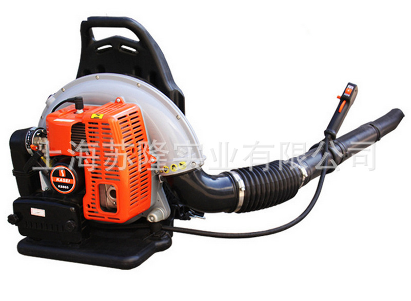 华盛科赛科赛865吹风机