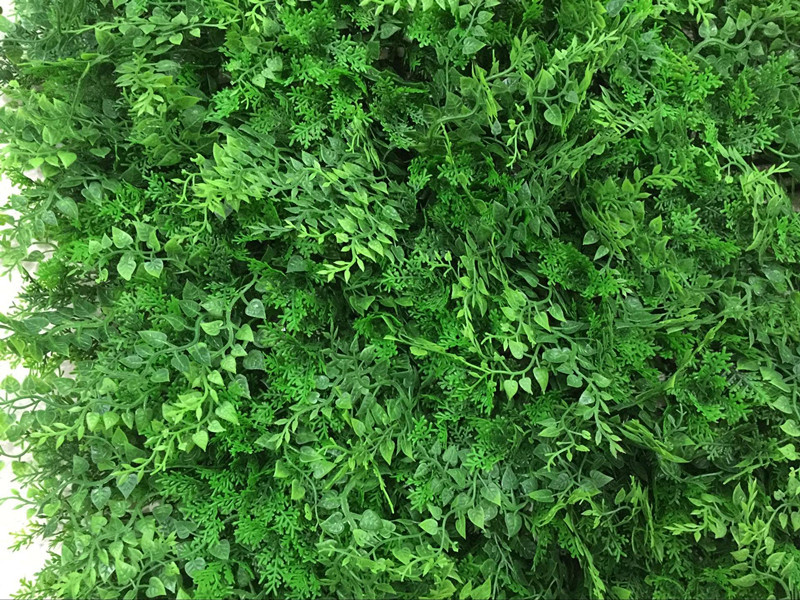 QQ图片20160707145939_副本