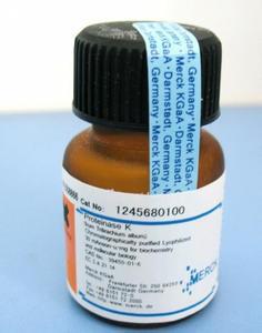 R20019细胞松弛素B储存液(Cytochalasin B,1mg/ml)  1ml纯品