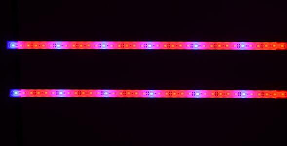 可订做各种规格水草植物鱼缸证明灯
其它颜色：红色，黄色，蓝色，绿色，白色,彩色 ，粉红色，紫色都可以定做，不过要有量。
需要报价表请加商务QQ，实时最新报价

服务热线：18476832169黄S 
微信：XL2015031622
QQ:3181555086
 
广州后得照明灯饰厂，专业生产5050SMD七彩软灯条、5050SMD幻彩跑马灯、5050SMD单色软灯条、3528SMD单色软灯条、3528SMD七彩软灯条、5050SMD套装、3528SMD套装、5050SMD跑马幻彩套装，后得照明，点亮七彩世界
工厂地址:广州市白云区金沙洲沙贝村长桥大街56号
 我们 着重于生产         专注于市场           经略于发展