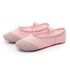 Male and girls ballet dance shoes adult gymnastics exercise yoga cat claw dance shoes children's soft bottom dance shoes wholesale