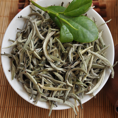 春茶大白毫 云南普洱茶 生茶 大白茶 芽尖月光白散批发现货