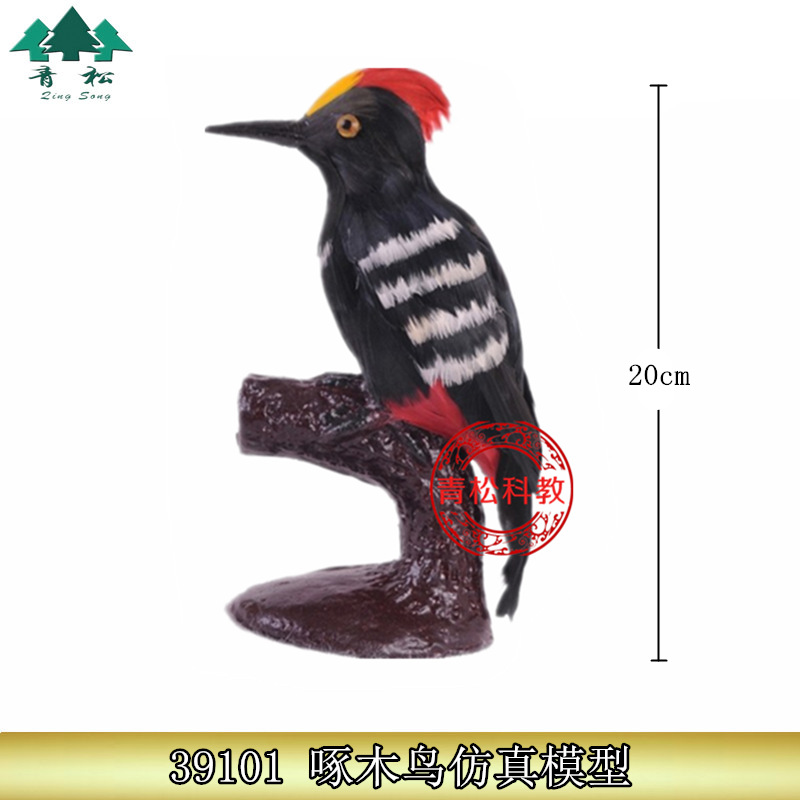 39101啄木鸟模型自然大用羽毛制作小学生物标本静态模型