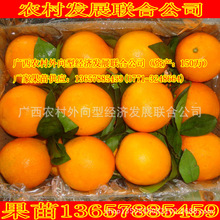 供应橙子树苗_供应橙子树苗\/脐橙\/血橙\/红橙\/各