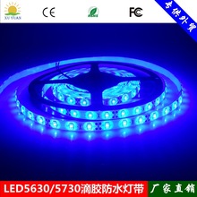 Sl NƬ60鳬12V 5630 zˮܛlp